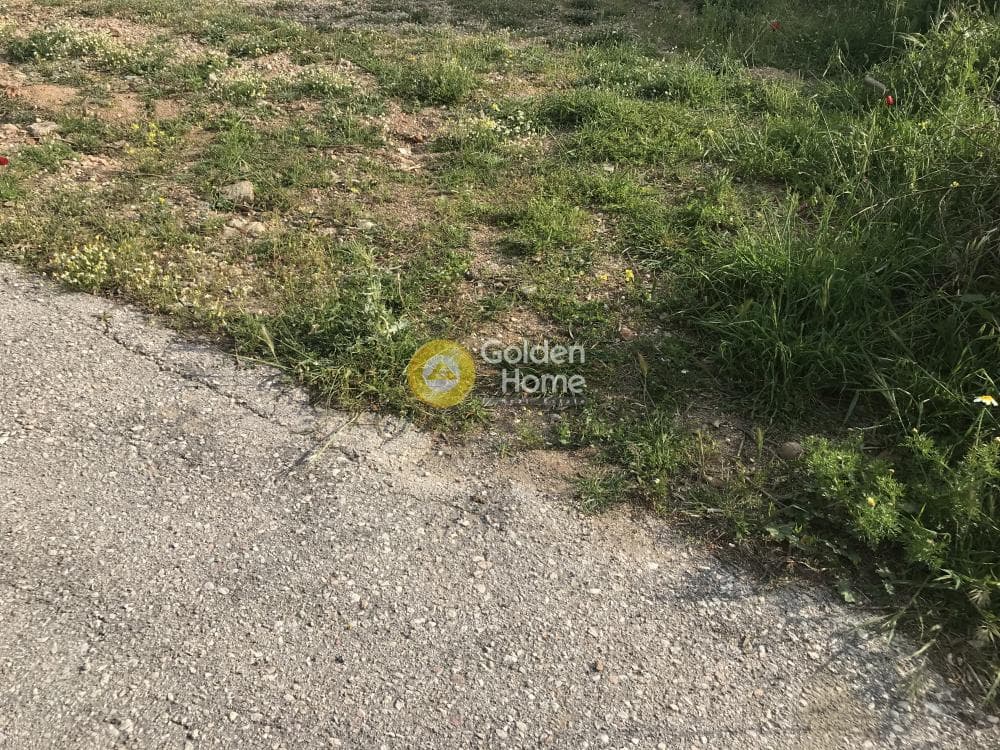 Αγροτεμάχιο στην Μαύρο Λιθάρι, Σαρωνίδα — Φωτογραφία 9 από 12