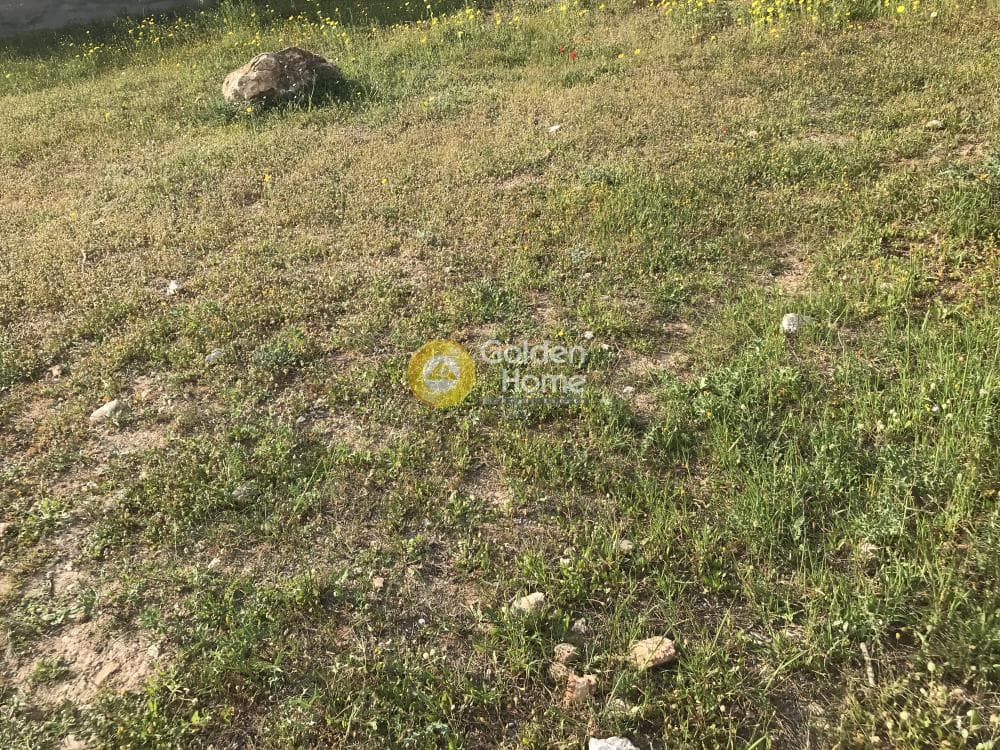 Αγροτεμάχιο στην Μαύρο Λιθάρι, Σαρωνίδα — Φωτογραφία 10 από 12