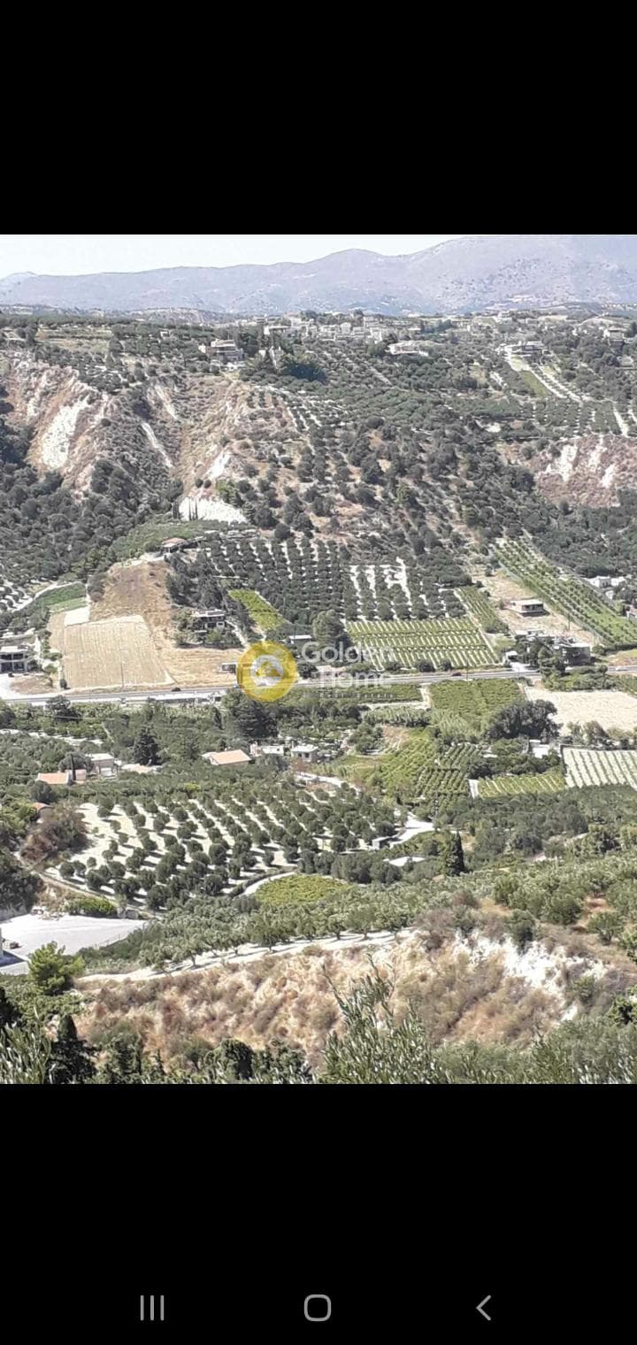 Αγροτεμάχιο στην Σταυράκια, Τετραχώρι — Φωτογραφία 2 από 2