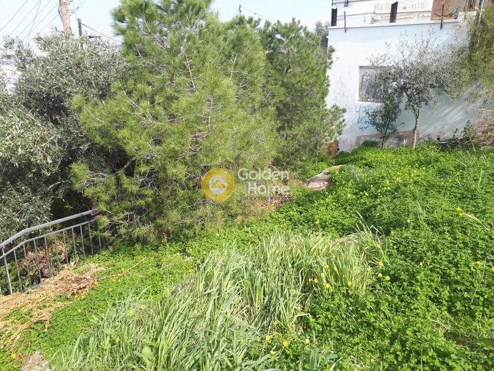 Οικόπεδο στην Άνω Δάφνη, Δάφνη — Φωτογραφία 7 από 7