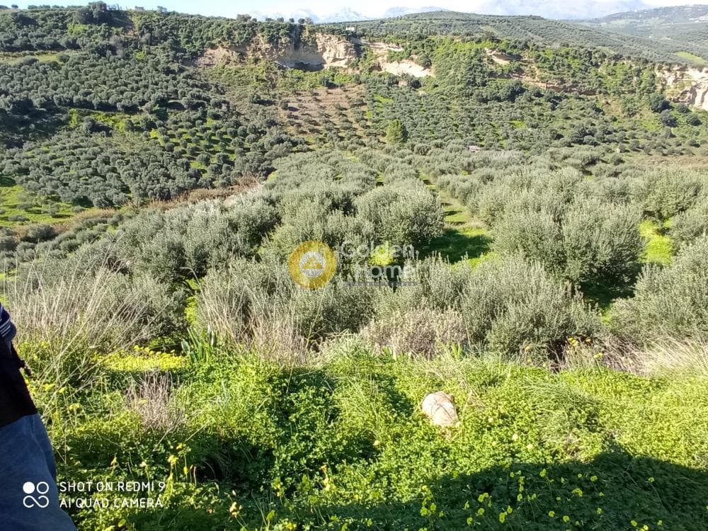 Αγροτεμάχιο στην Άγιος Βλάσιος, Αρχάνες — Φωτογραφία 1 από 6