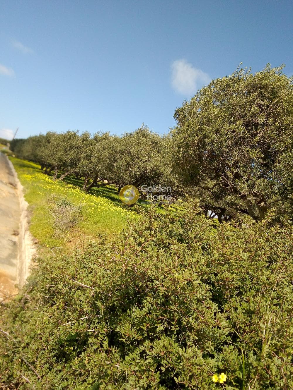 Parcel in Ligaria, Gazi — Photo 1 of 6