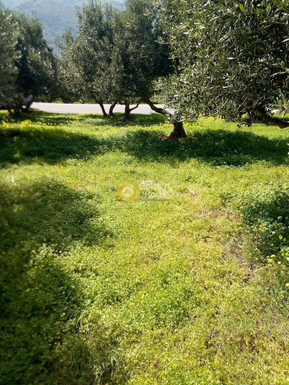 Parcel in Ligaria, Gazi — Photo 2 of 6