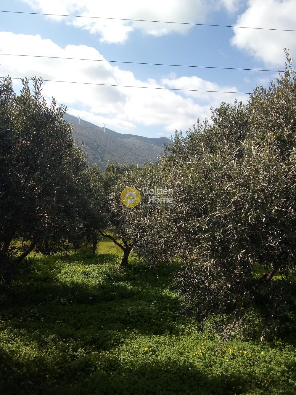 Parcel in Ligaria, Gazi — Photo 5 of 6