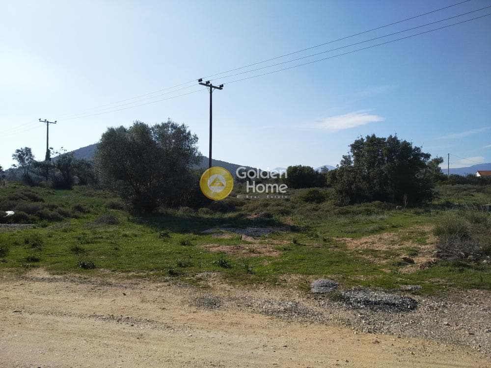 Parcel in Center, Koropi — Photo 7 of 19