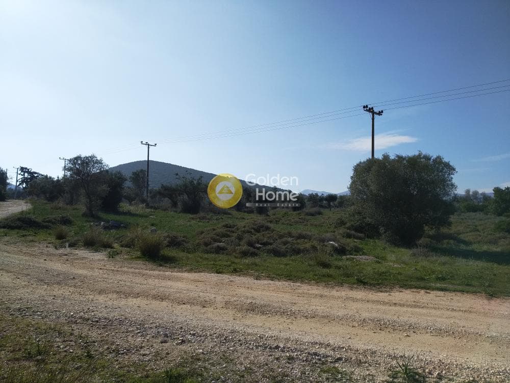 Parcel in Center, Koropi — Photo 3 of 19