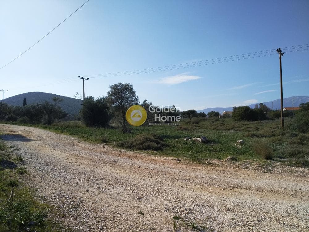 Parcel in Center, Koropi — Photo 4 of 19