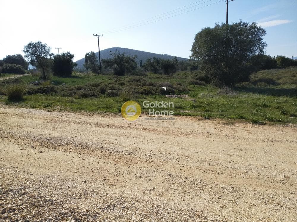 Parcel in Center, Koropi — Photo 1 of 19
