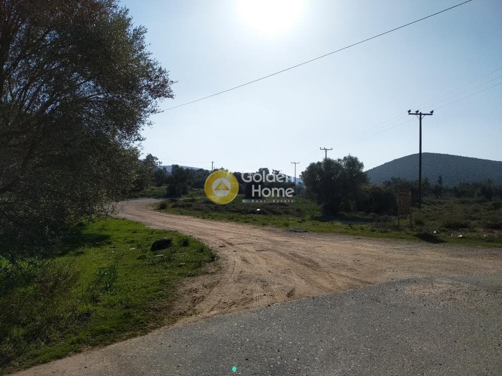 Parcel in Center, Koropi — Photo 6 of 19