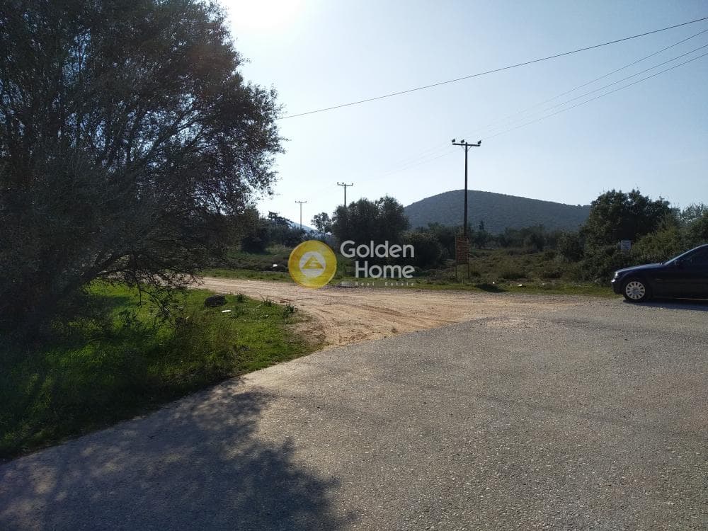 Parcel in Center, Koropi — Photo 8 of 19