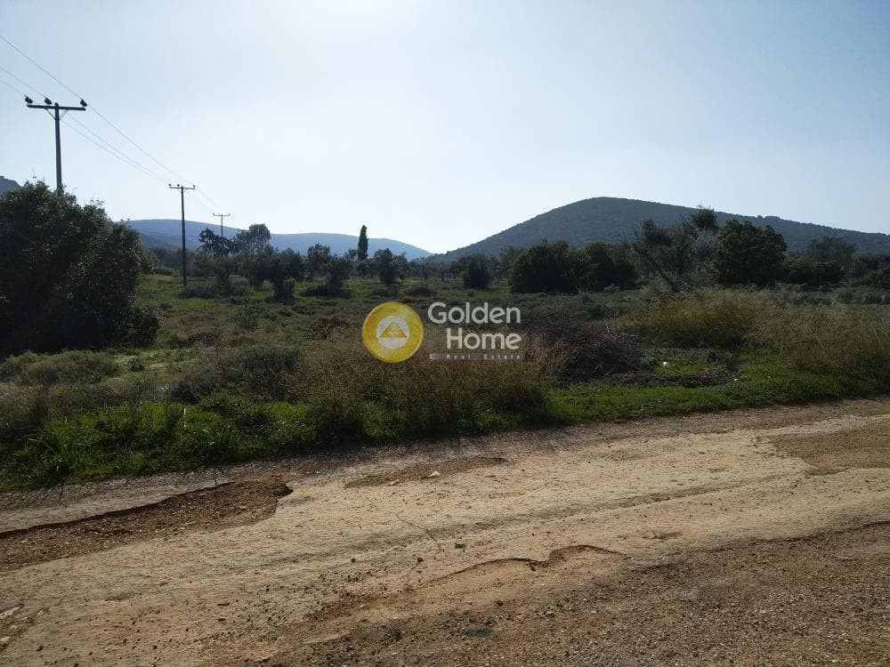 Parcel in Center, Koropi — Photo 9 of 19