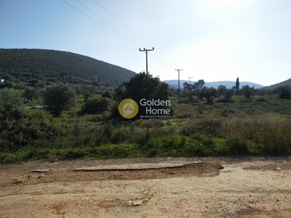 Parcel in Center, Koropi — Photo 10 of 19