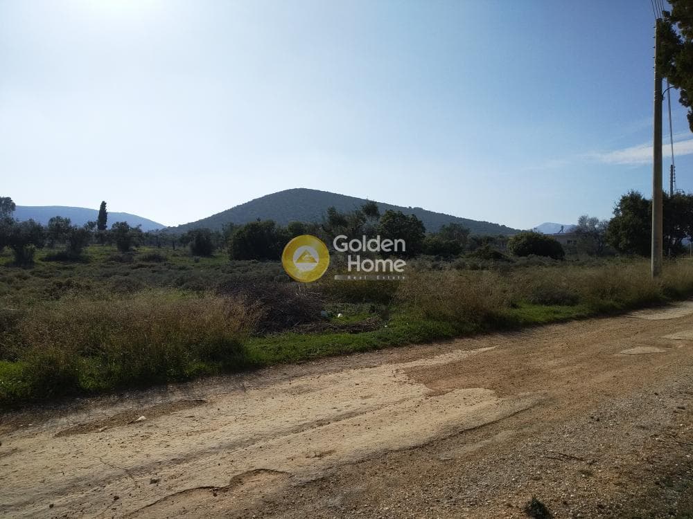 Parcel in Center, Koropi — Photo 12 of 19