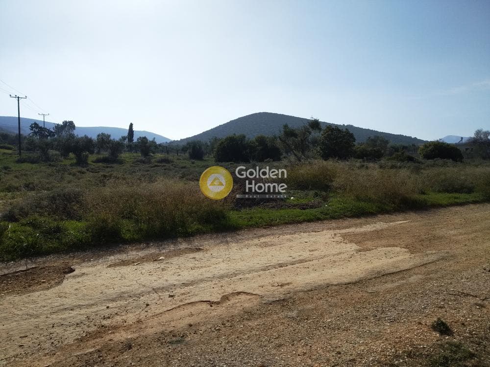 Parcel in Center, Koropi — Photo 13 of 19