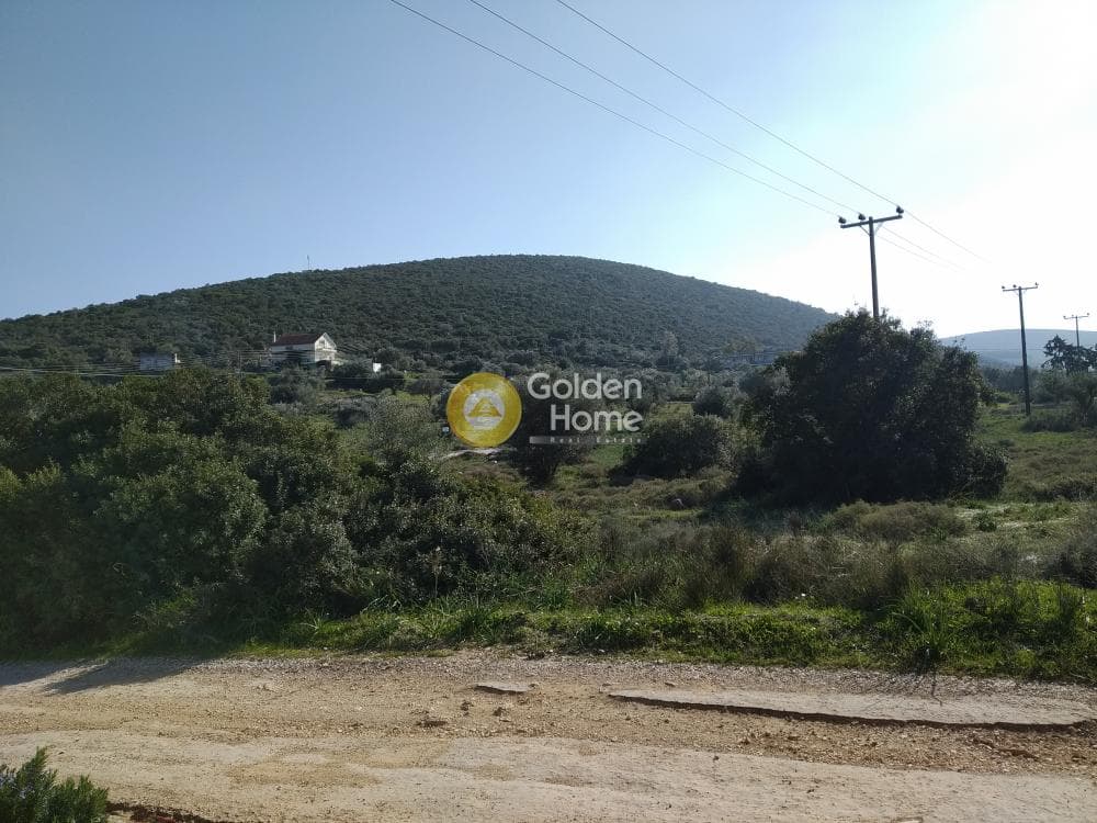 Parcel in Center, Koropi — Photo 14 of 19