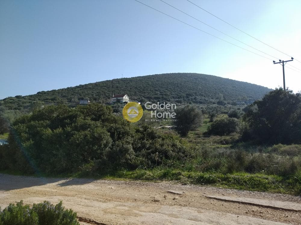 Parcel in Center, Koropi — Photo 15 of 19
