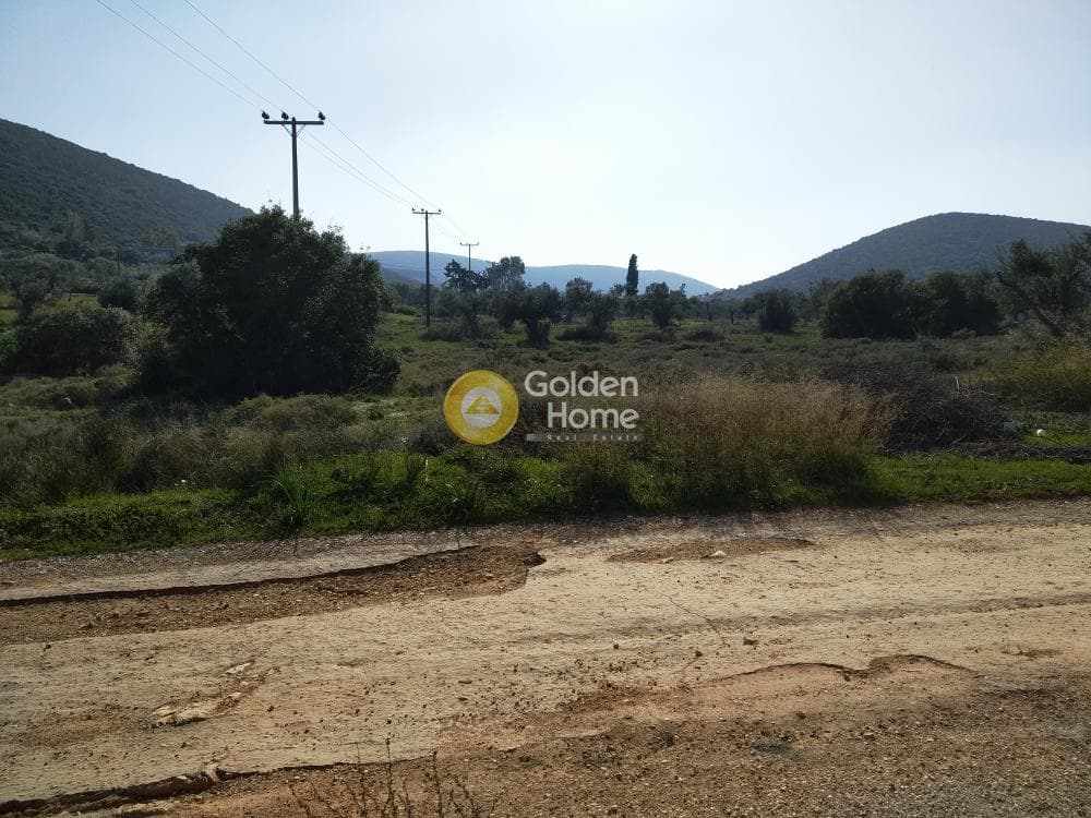 Parcel in Center, Koropi — Photo 16 of 19