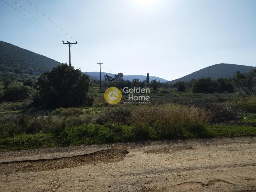 Parcel in Center, Koropi — Photo 17 of 19