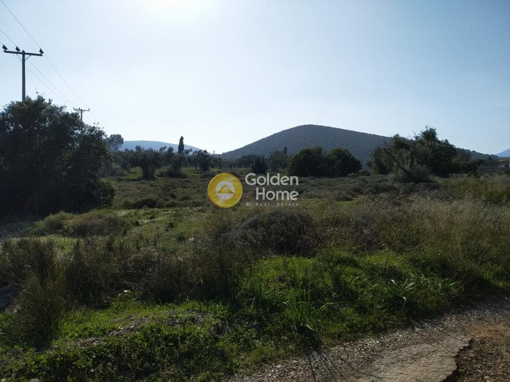 Parcel in Center, Koropi — Photo 18 of 19