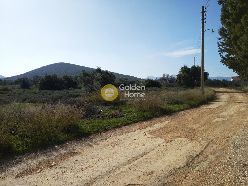 Parcel in Center, Koropi — Photo 19 of 19