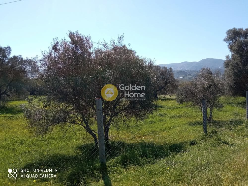 Parcel in Moni Kalivianis, Moires — Photo 8 of 9