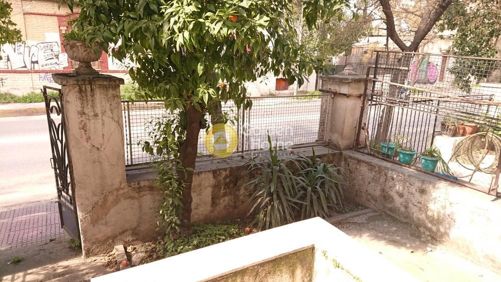 Οικόπεδο στην Θυμαράκια, Αττική — Φωτογραφία 5 από 6