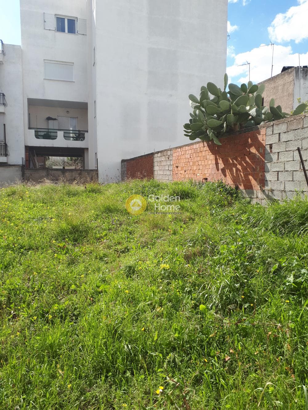Building Plot in Zefiri, Zefiri — Photo 3 of 4