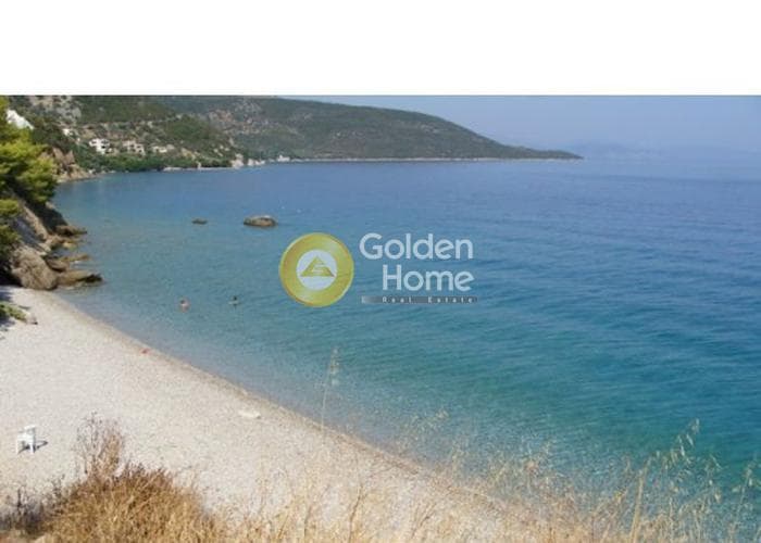 Parcel in Driopi, Trizina — Photo 3 of 4