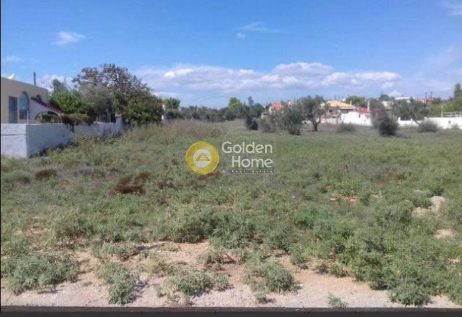 Οικόπεδο στην Ψιλή Άμμος, Σαλαμίνα — Φωτογραφία 2 από 2