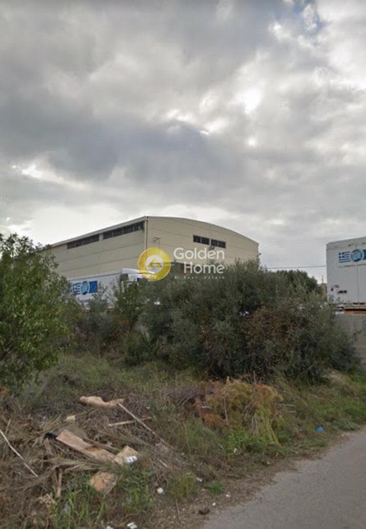 Αγροτεμάχιο στην Κέντρο, Πικέρμι — Φωτογραφία 1 από 2