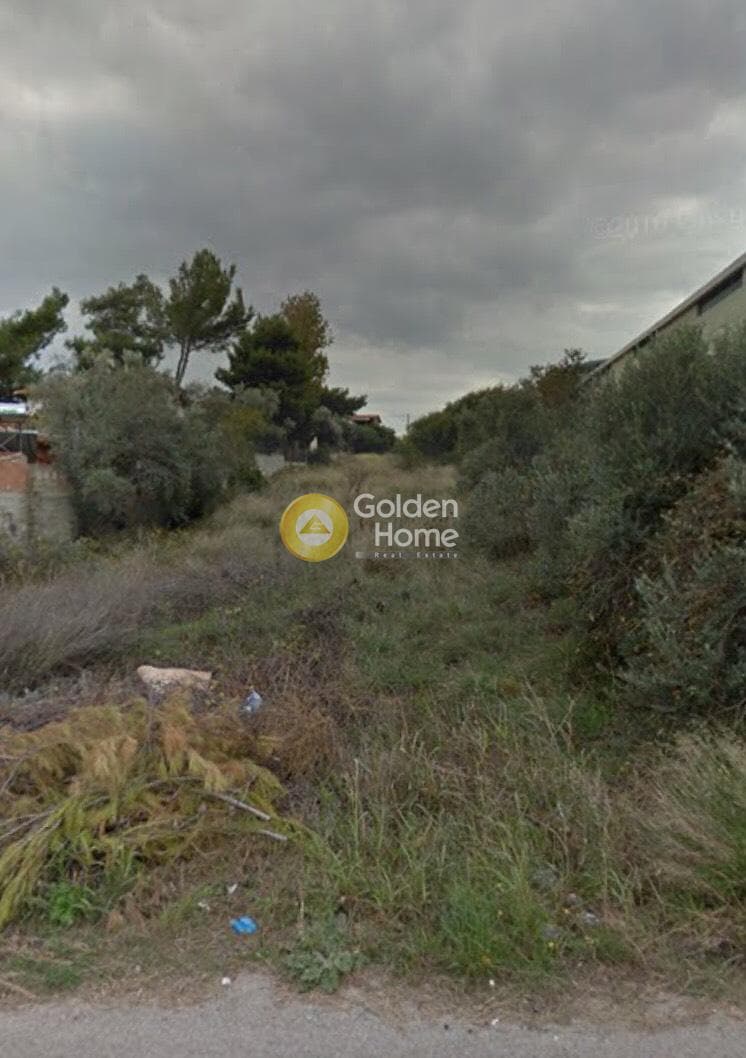 Αγροτεμάχιο στην Κέντρο, Πικέρμι — Φωτογραφία 2 από 2