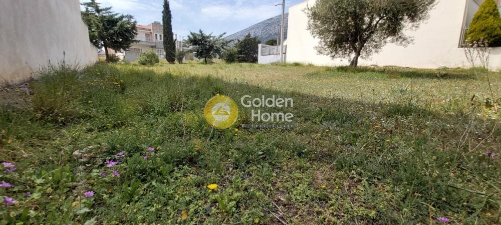 Οικόπεδο στην Μουσείο Βορρέ, Παιανία — Φωτογραφία 5 από 13