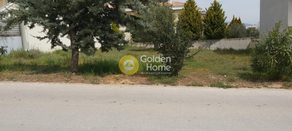 Οικόπεδο στην Μουσείο Βορρέ, Παιανία — Φωτογραφία 11 από 13