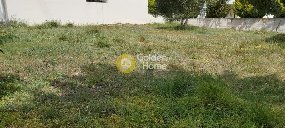 Οικόπεδο στην Μουσείο Βορρέ, Παιανία — Φωτογραφία 13 από 13