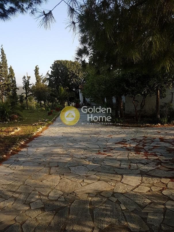 Building Plot in Lamprika, Koropi — Photo 1 of 12
