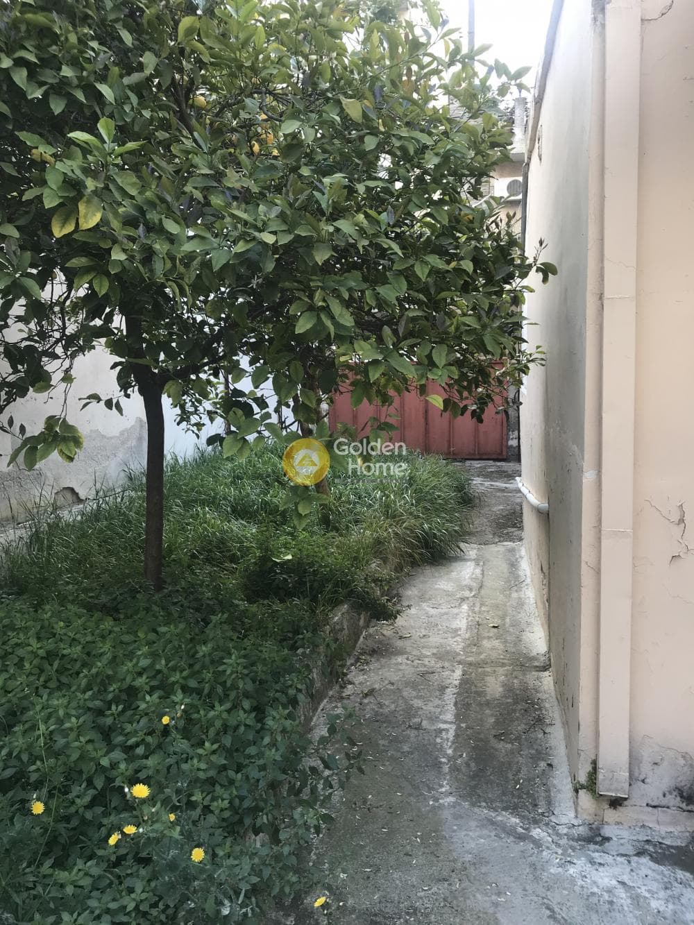 House in Palatiani, Ilion — Photo 2 of 14