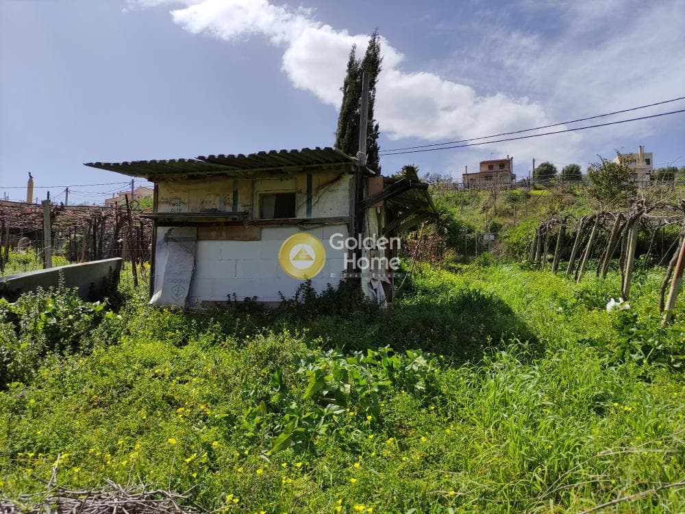 Οικόπεδο στην Πατσίδες, Αρχάνες — Φωτογραφία 5 από 6