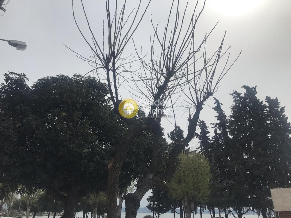 Κατάστημα στην Νέα Κρήνη, Καλαμαριά — Φωτογραφία 11 από 12