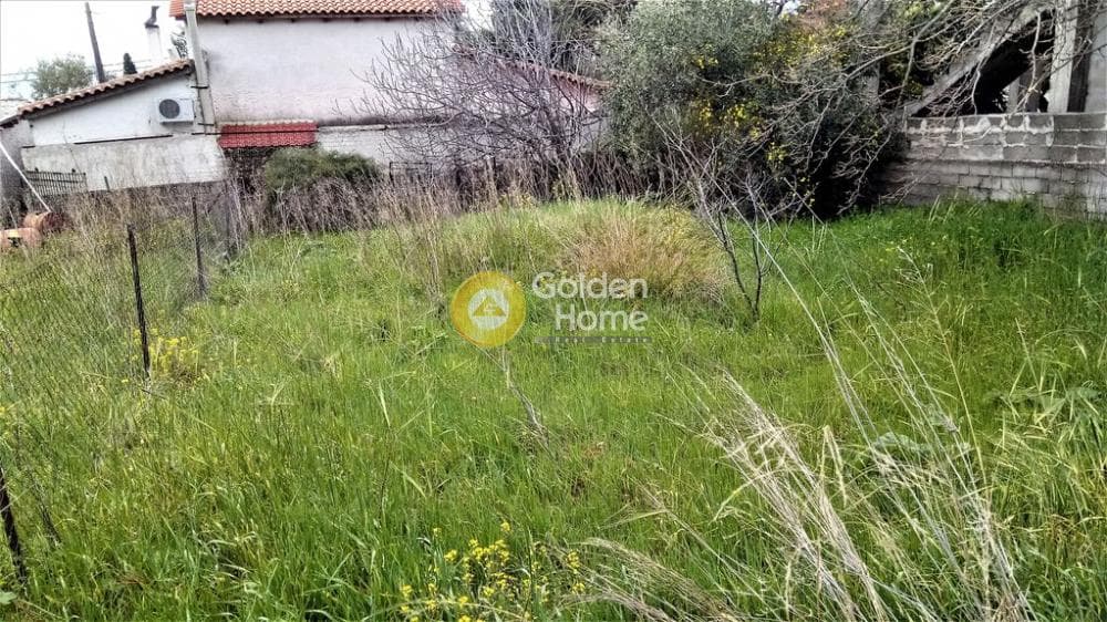 Αγροτεμάχιο στην Μεγάλα Σχοινία Α, Αχαρνές — Φωτογραφία 5 από 6