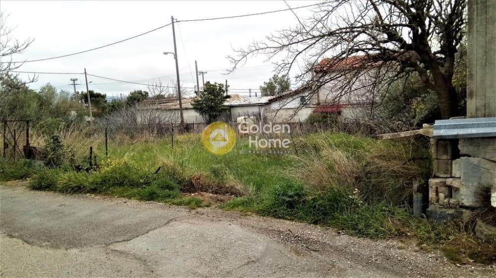 Αγροτεμάχιο στην Μεγάλα Σχοινία Α, Αχαρνές — Φωτογραφία 6 από 6