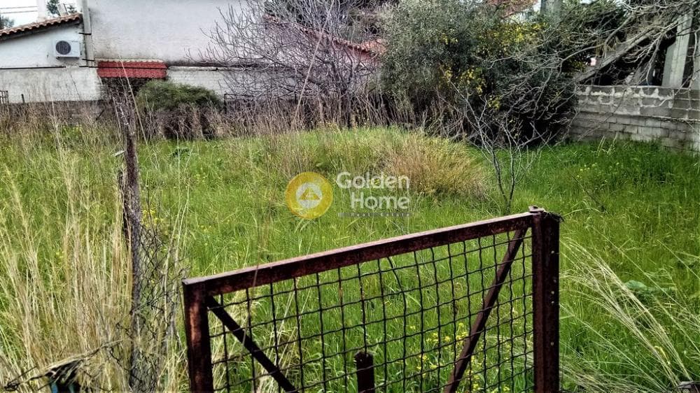 Αγροτεμάχιο στην Μεγάλα Σχοινία Α, Αχαρνές — Φωτογραφία 4 από 6