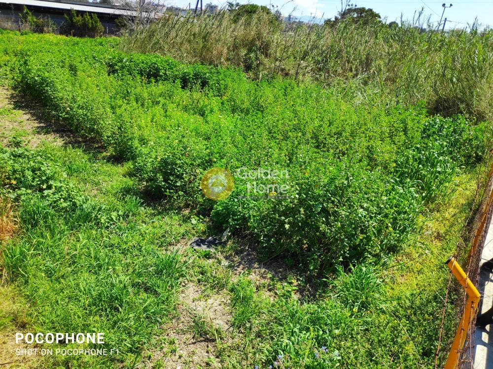 Building Plot in Skafidaras, Gazi — Photo 3 of 3
