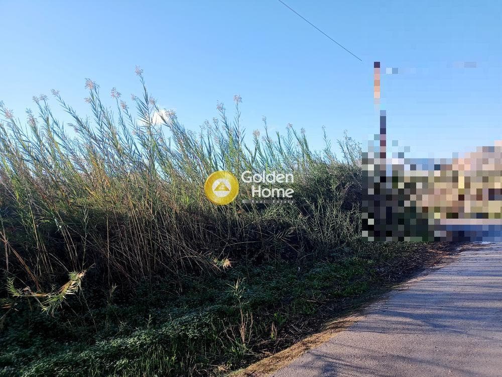 Building Plot in Center, Gazi — Photo 5 of 6