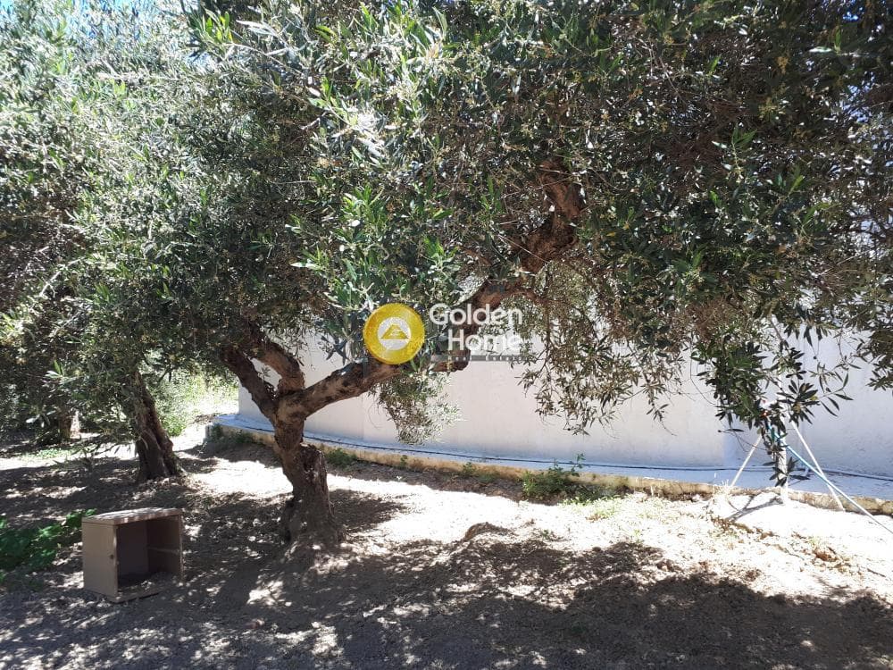 Building Plot in Ethia, Heraclion Cretes — Photo 1 of 5