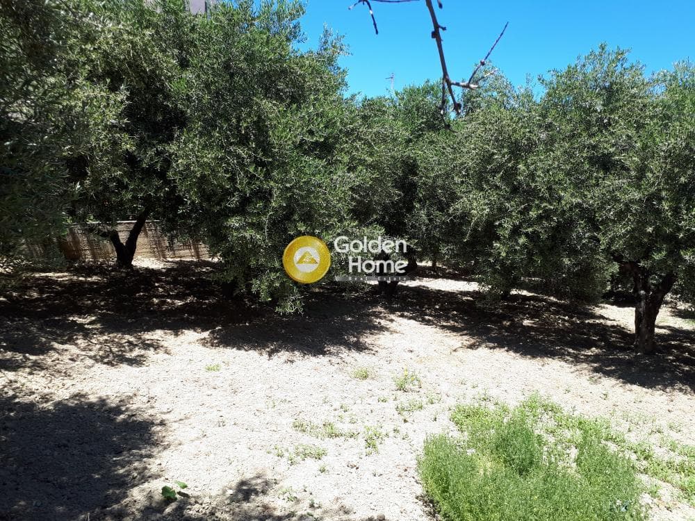 Building Plot in Ethia, Heraclion Cretes — Photo 4 of 5