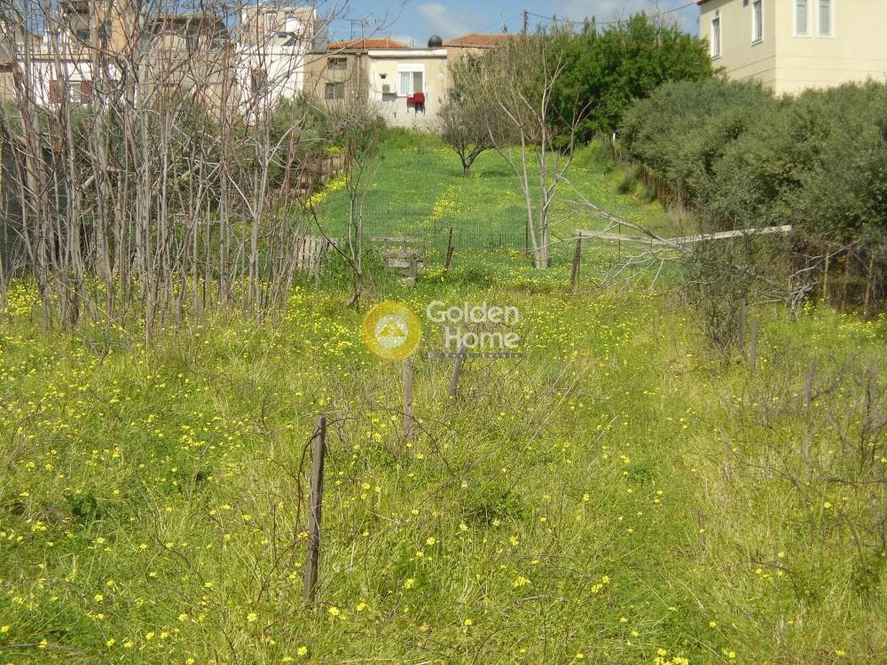 Building Plot in Ano Kalesia, Temenos — Photo 3 of 4