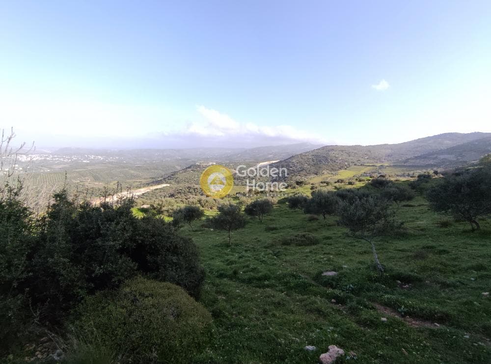 Αγροτεμάχιο στην Καταλαγάρι, Αρχάνες — Φωτογραφία 8 από 11