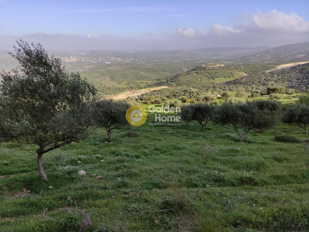 Αγροτεμάχιο στην Καταλαγάρι, Αρχάνες — Φωτογραφία 5 από 11