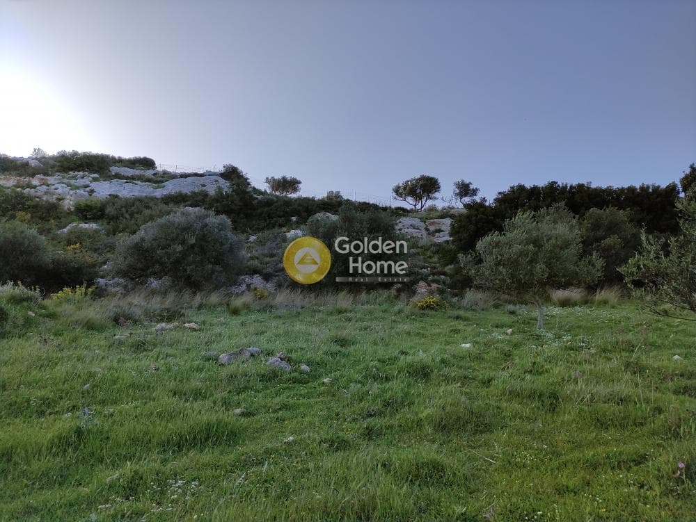 Αγροτεμάχιο στην Καταλαγάρι, Αρχάνες — Φωτογραφία 11 από 11