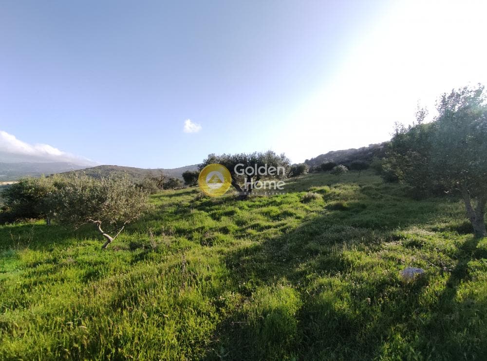 Αγροτεμάχιο στην Καταλαγάρι, Αρχάνες — Φωτογραφία 4 από 11